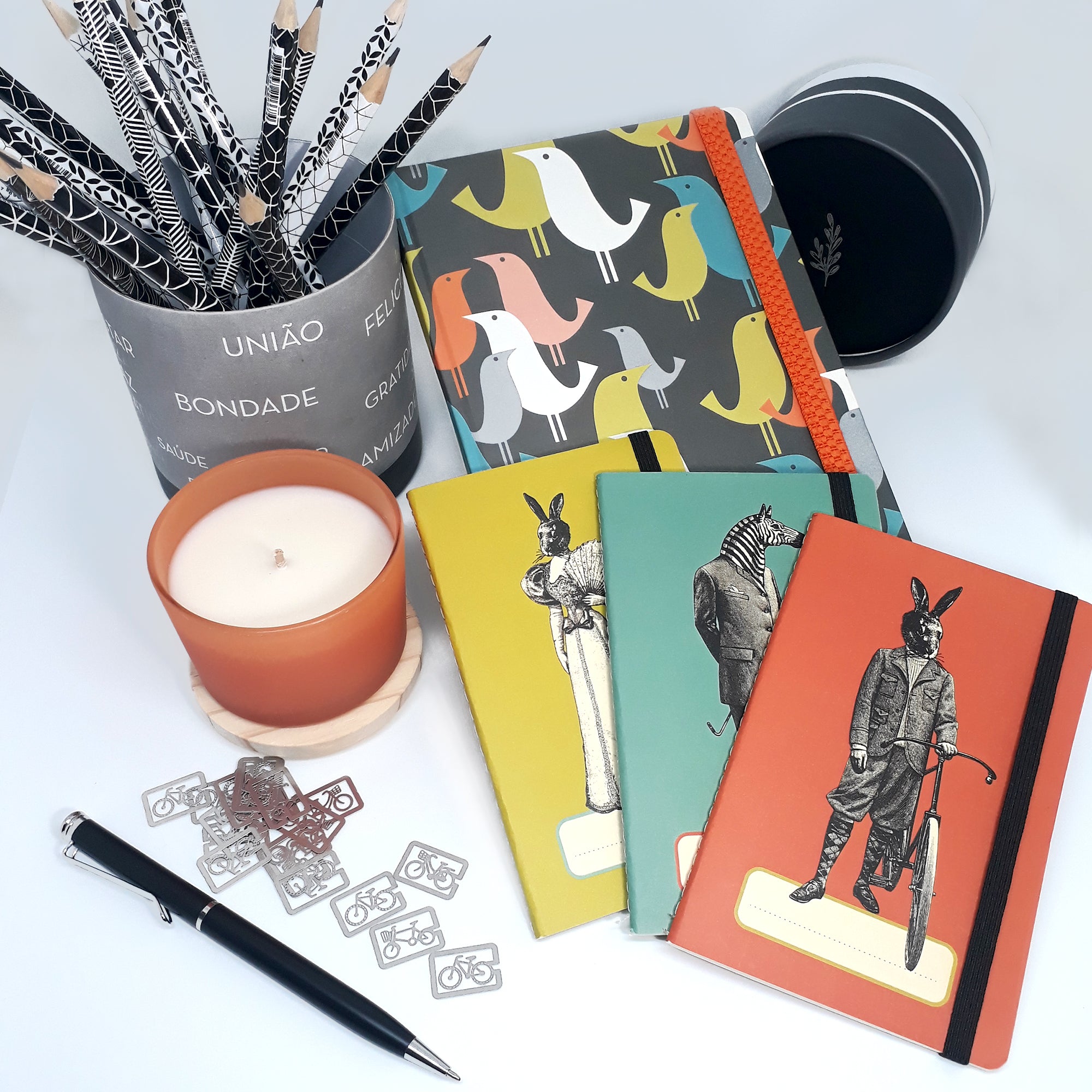 Cadernos Trio Animais Raros – Costura Especial