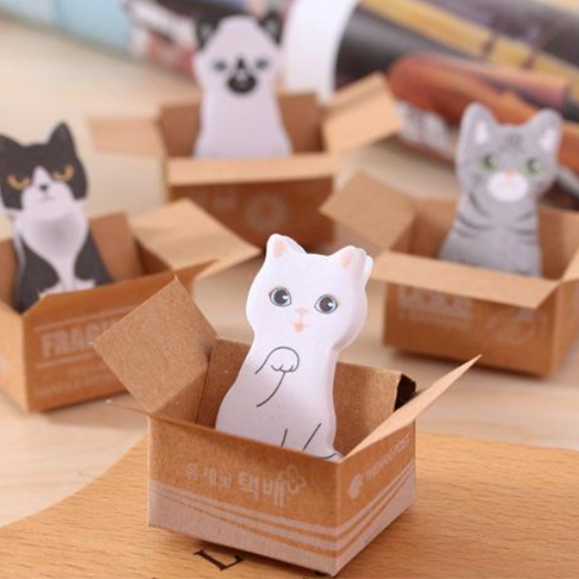 Caixinha com sticky notes de gatinhos fofos
