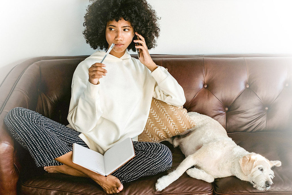 Viajando com Pets: dicas essenciais para uma jornada tranquila.